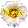 Voir le dernier message Voir le dernier message