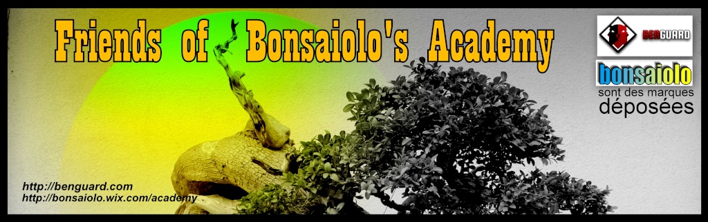 bonsaiolo's friends