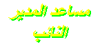 نائب المير نائب المير