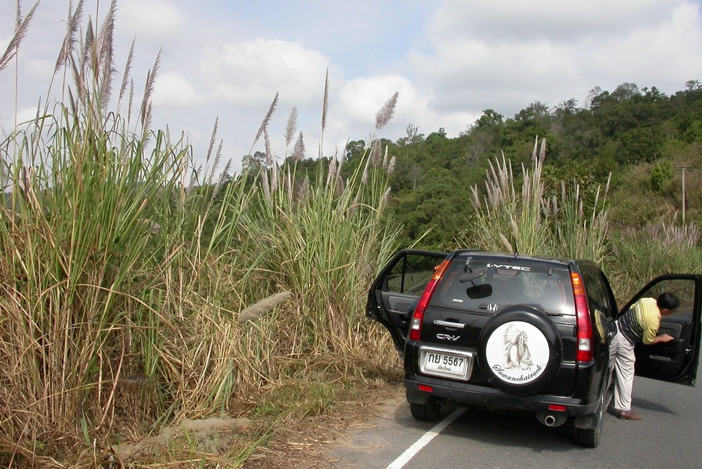 dscn2610.jpg