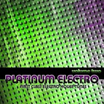 VA - Platinum Electro Vol 2 (First Class Electro House Tunes)