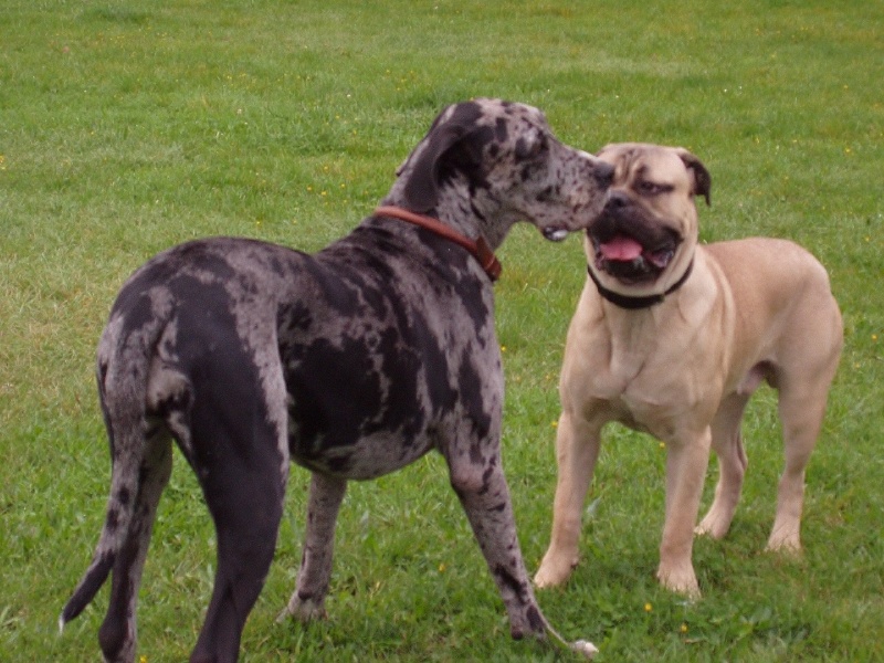 rencontre freigné