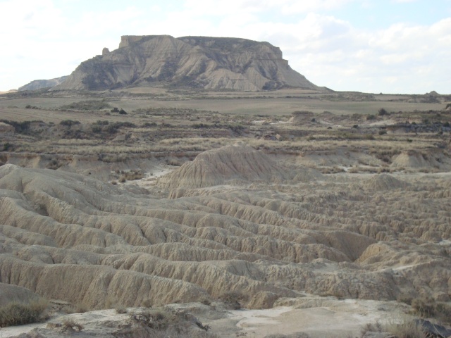 dsc02010.jpg