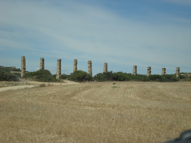dsc02011.jpg
