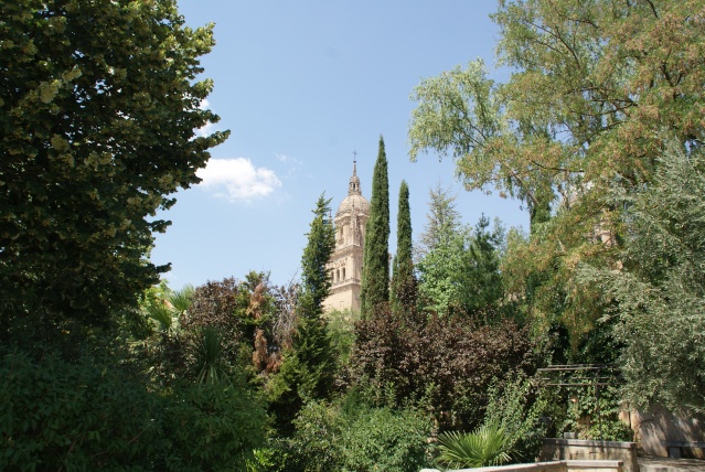 dsc05410.jpg