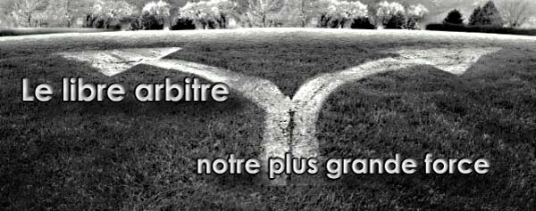 <font color=#B67823;>Follow Your Intuition</font>
