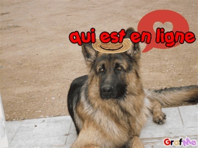 Qui est en ligne ?