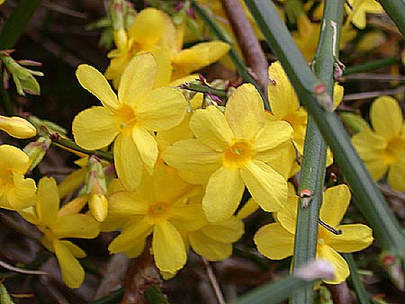 ar04010.jpg