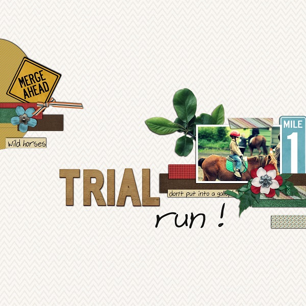 trial_13.jpg